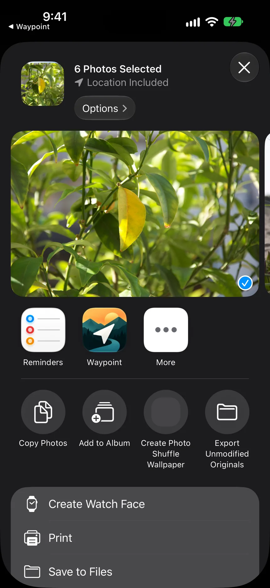 The iOS share sheet with Waypoint as a destination for 6 photos.